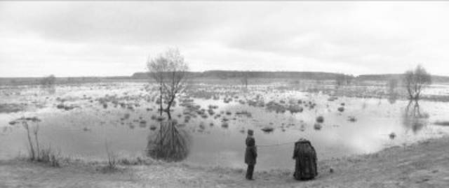 Landscapes become otherworldly in the shadow of war and madness in Václav Marhoul’s The Painted Bird (2019)