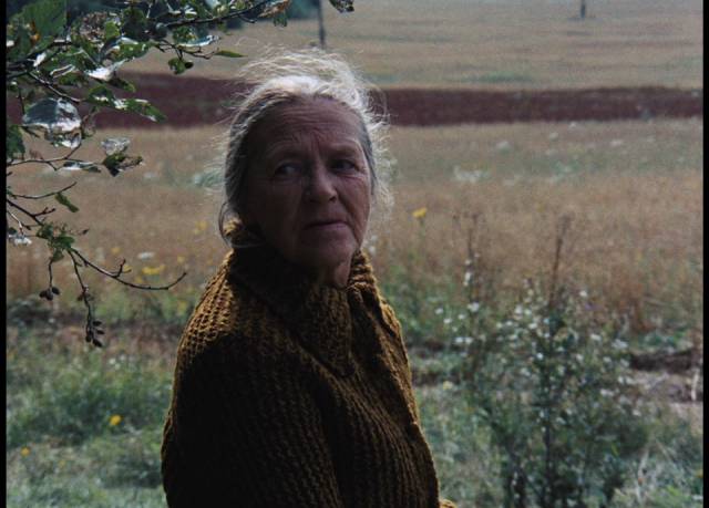 The elderly mother is seen back in the past at the end of Andrei Tarkovsky's Mirror (1975)