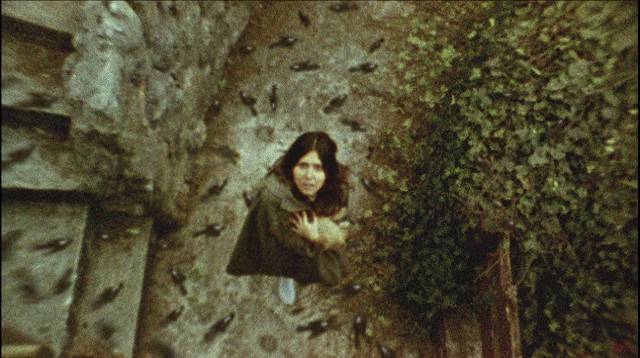 Altair (Diana Bovio) stands in the midst of a bird storm in Victor Dryere's 1974: La posesión de Altair (2016)