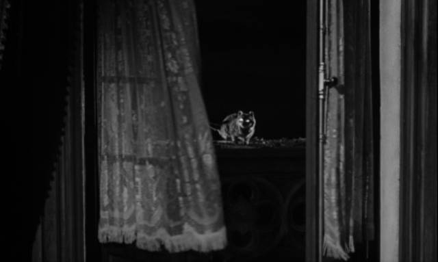 Tabatha takes on supernatural qualities as she stalks the Venable family mansion in John Gilling's The Shadow of the Cat (1961)
