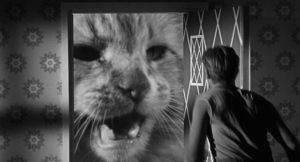 The family pet strikes in Jack Arnold's The Incredible Shrinking Man (1957)