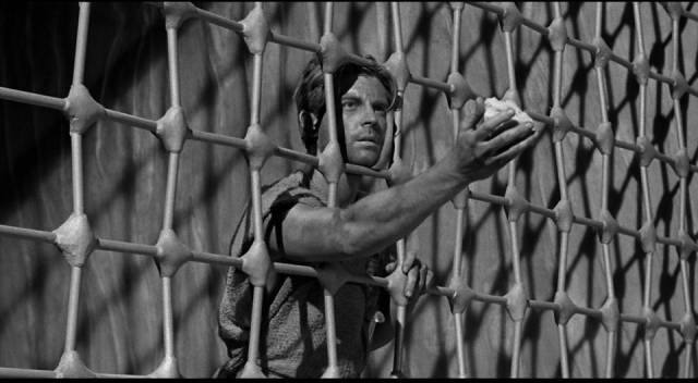 Scott Carey (Grant Williams) offers crumbs to a bird in the garden in Jack Arnold's The Incredible Shrinking Man (1957)