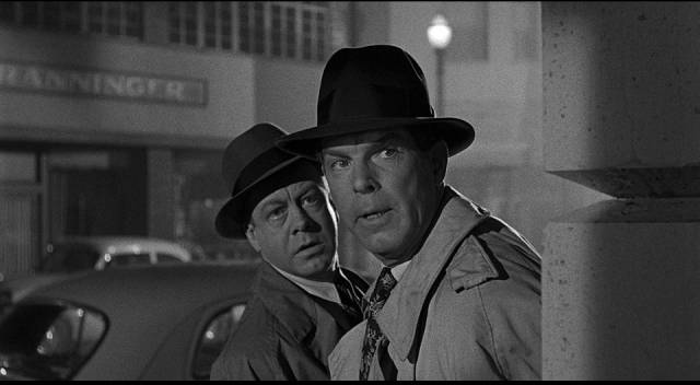 Cop Paul Sheridan (Fred MacMurray) takes a very wrong turn in Richard Quine's Pushover (1954)
