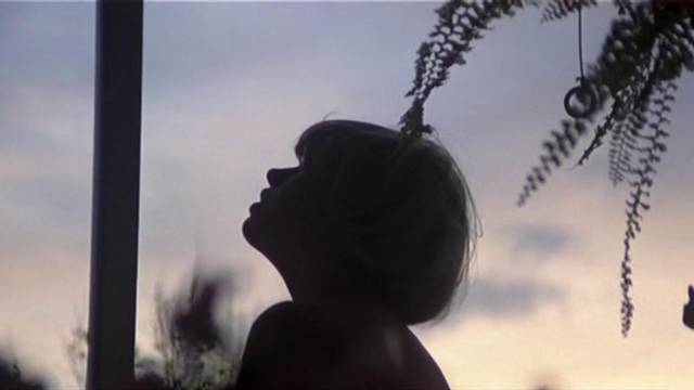 Isolated on an island, a family is mired in incestuous desires in Jess Franco's House of Lost Women (1982)