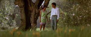 Newt (Kyle Johnson) and Arcella (Mira Waters) begin a tentative romance in Gordon Parks' The Learning Tree (1969)