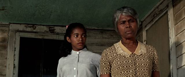 Newt's mother Sarah (Estelle Evans) is told the police are looking for him in Gordon Parks' The Learning Tree (1969)
