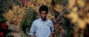 Newt (Kyle Johnson) navigates growing up in a racist society in Gordon Parks' The Learning Tree (1969)