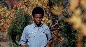 Gordon Parks&#8217; <i>The Learning Tree</i> (1969): Criterion Blu-ray review
