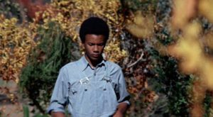 Newt (Kyle Johnson) navigates growing up in a racist society in Gordon Parks' The Learning Tree (1969)