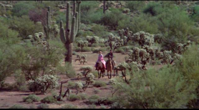Cass (Richard Lapp) and Nellie (Anne Randall), newly married, set out to find a life together in Budd Boetticher's A Time for Dying (1969)