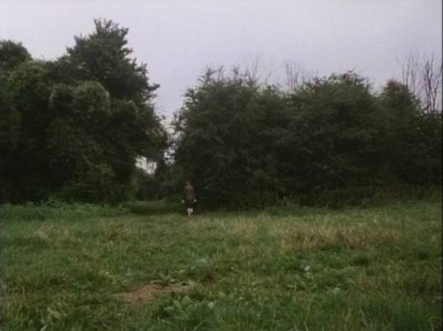 A schoolgirl disappears into the woods in Lindsey C. Vickers' The Appointment (1981)