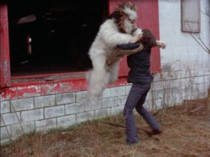 That's some cute killer Sasquatch in Michael Findlay's Shriek of the Mutilated (1974)