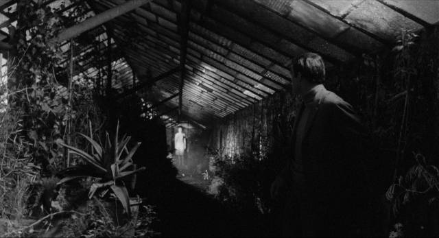Logan (Richard Johnson) finds the spectral Aura (Rosanna Schiaffino) in a decaying conservatory in Damiano Damiani's The Witch (1966)