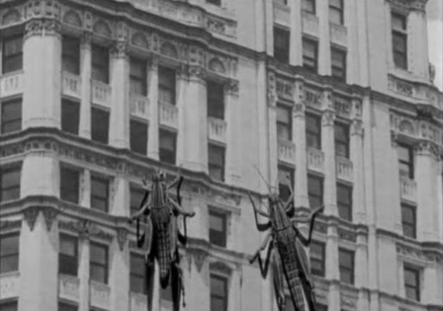 Giant grasshoppers attack Chicago in Bert I. Gordon's Beginning of the End (1957)