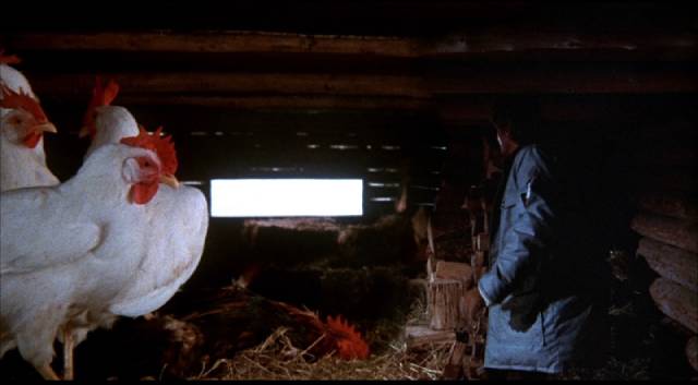 Them's mighty big chickens in Bert I. Gordon's The Food of the Gods (1976)