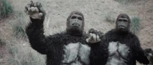 Gorillas are trained in kung-fu in Cheng Hou's Shaolin Invincibles (1977)