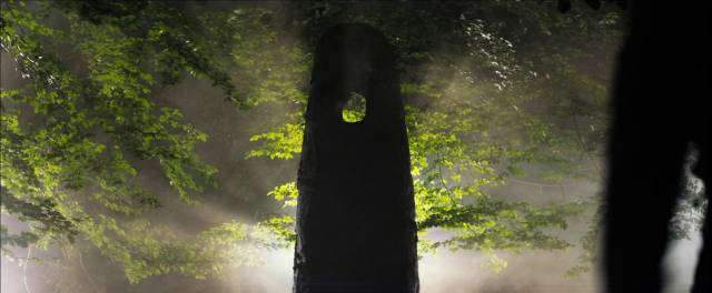 Ancient stones focus chaotic energy in the woods in Ben Wheatley's In the Earth (2021)