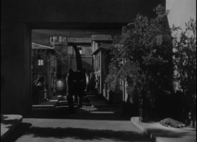 A black cat prowls through a Paris murder scene in Lesley Selander's The Catman of Paris (1946)