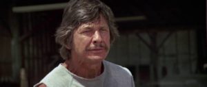 Disreputable pilot Charles Bronson is hired to rescue an American businessman from a Mexican prison in Tom Gries' Breakout (1973)
