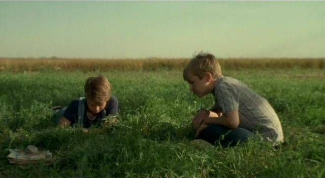 Summer days are long and there's not much to do in Jeff Erbach's The Nature of Nicholas (2002)