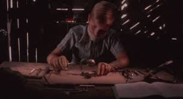 Nicholas (Jeff Sutton) dissects bugs in Jeff Erbach's The Nature of Nicholas (2002)
