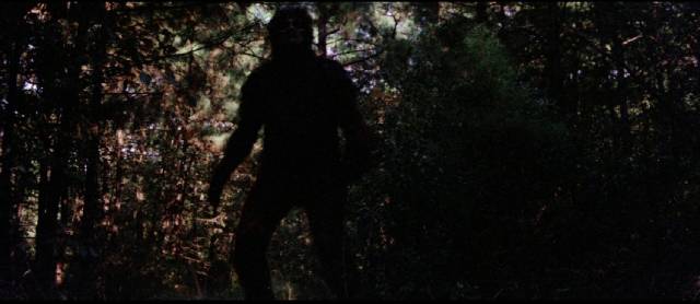 There's something lurking in the Louisiana swamps in Joy Houck Jr.'s Creature From Black Lake (1976)