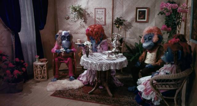 Zain's family relax over tea in the living room in Donn Greer's The Rare Blue Apes of Cannibal Isle (1975)