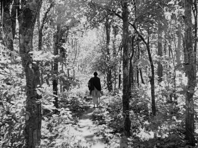 The countryside takes on an almost mystical presence in Satyajit Ray's Apur Sansar (1959)