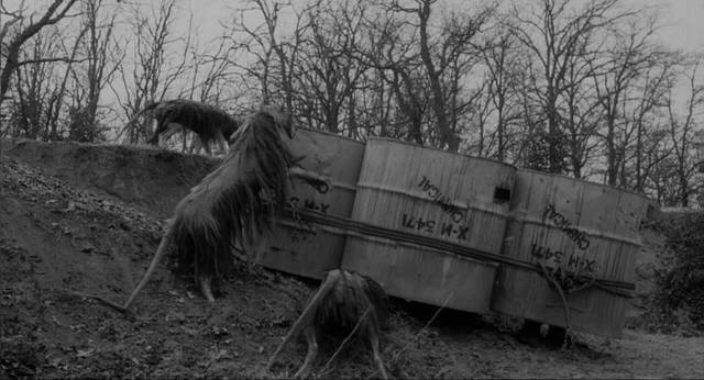 The shrews try to penetrate the crew's improvised armour in Ray Kellogg's The Killer Shrews (1959)
