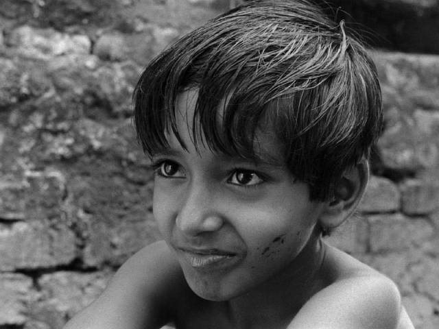Young Apu (Subir Banerjee) looks for his own path in Stayakit Ray's Pather Panchali (1955)