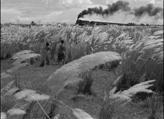 Apu (Subir Banerjee) and Durga Uma Das Gupta) see in the train the promise of another life in Satyajit Ray's Pather Panchali (1955)