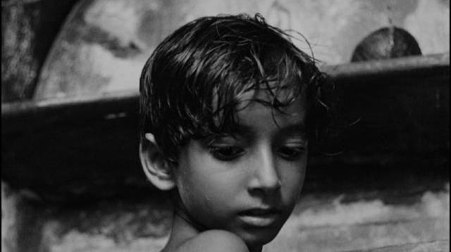 Young Apu (Subir Banerjee) looks for his own path in Satyajit Ray's Pather Panchali (1955)