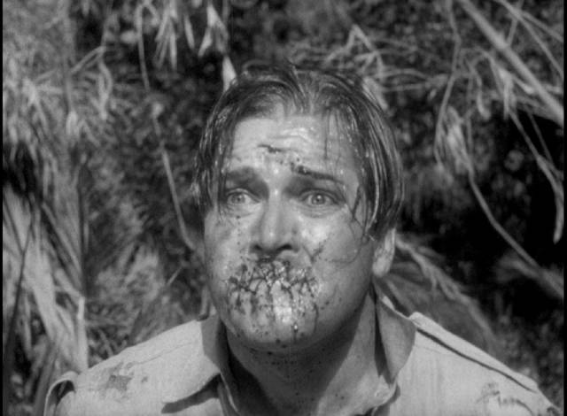 Bob Taylor (Edward Pawley) is a victim of Eric Gorman (Lionel Atwill)'s jealous rage in A. Edward Sutherland's Murders in the Zoo (1933)