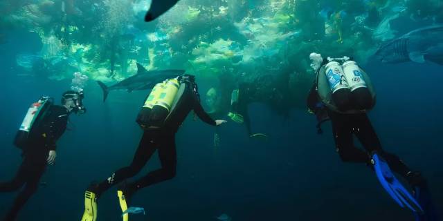 Pissed off sharks leave the polluted Pacific for the French capital in Under Paris (2024)